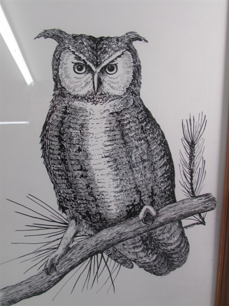 PEN & INK OWL DRAWING BY BJ SOS