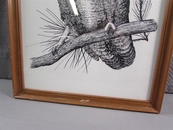 PEN & INK OWL DRAWING BY BJ SOS