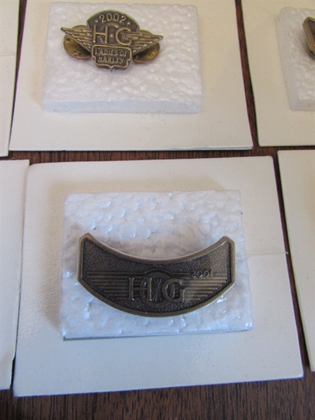 HOG PIN COLLECTION & PATCH
