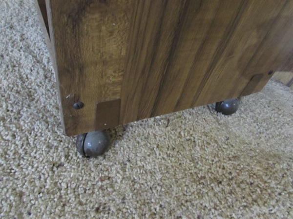WHEELED STAND & MEDIA CABINET