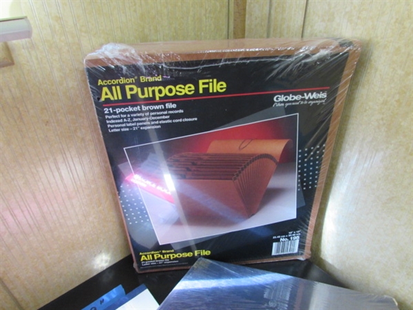 LOCKING 2-DRAWER FILING CABINET & FILE FOLDERS