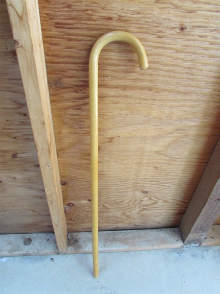 WALKER, CANES, PORTABLE TOILET & MORE