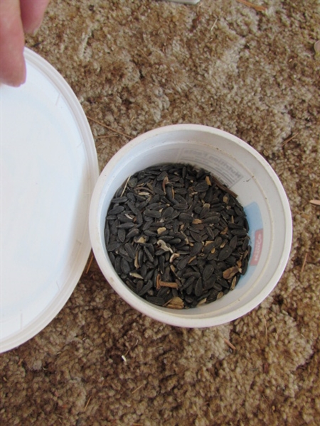 BIRD HOUSE, FEEDERS AND BIRD SEED