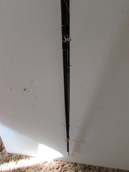 SALTWATER FISHING RODS