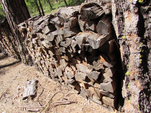 SPLIT SEASONED FIREWOOD