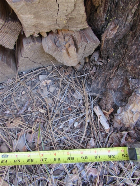 SPLIT SEASONED FIREWOOD
