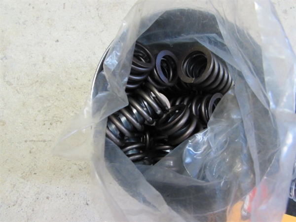 HOLLEY FUEL PUMP, CAMSHAFT, VALVE SPRINGS & MORE