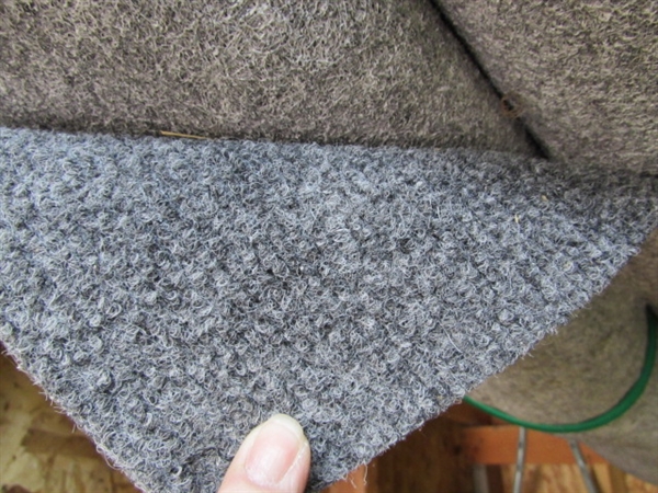 NEW CARPET