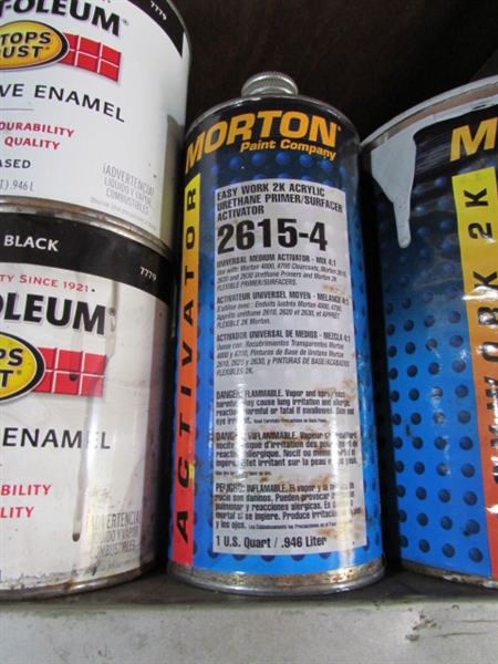 PAINT & MORE