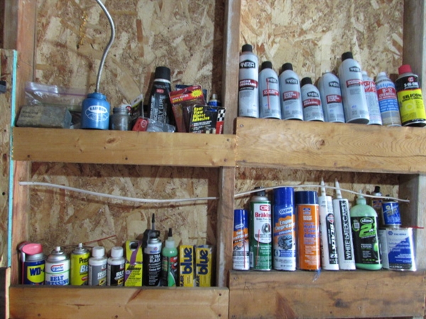 ASST AUTOMOTIVE CHEMICALS & MORE