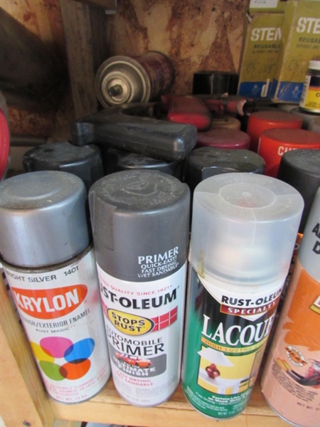 LARGE ASSORTMENT OF SPRAY PAINT, TOUCH UP PAINT & MORE