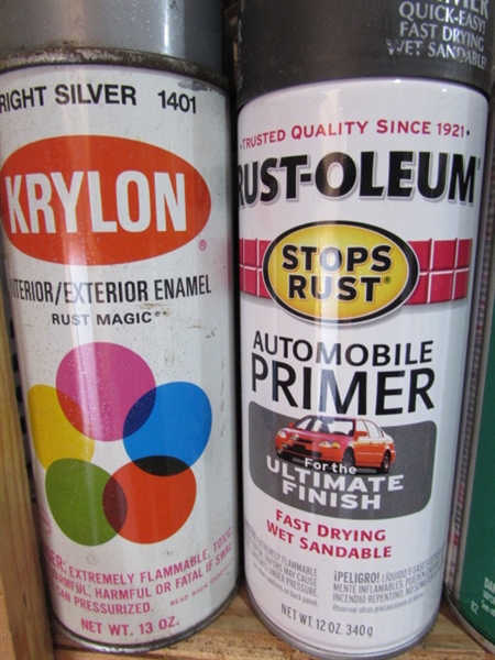 LARGE ASSORTMENT OF SPRAY PAINT, TOUCH UP PAINT & MORE