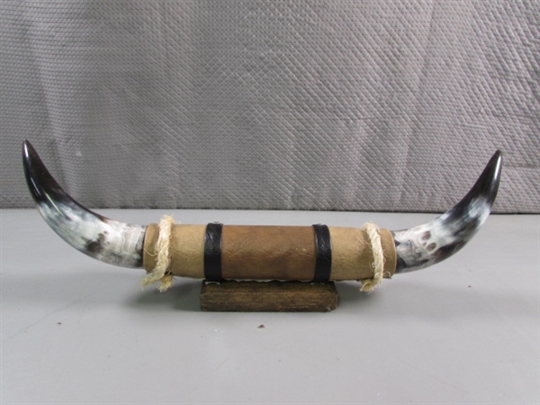 POLISHED HORN DECOR