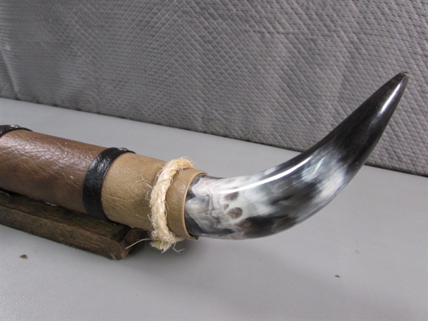 POLISHED HORN DECOR