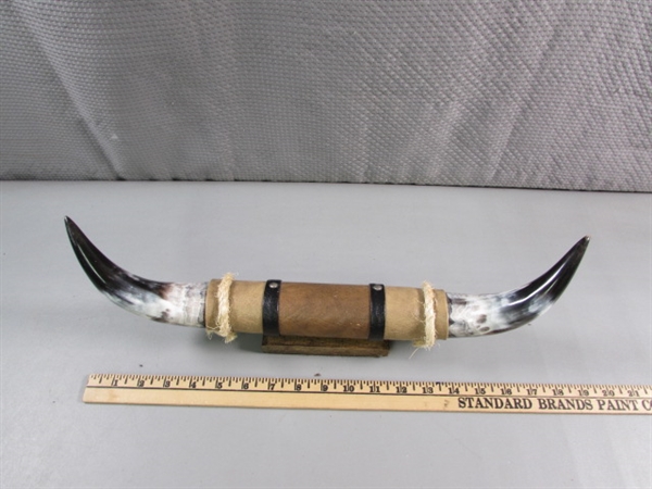 POLISHED HORN DECOR