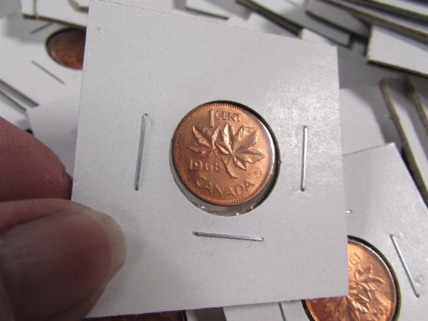 LARGE COLLECTION OF CANADIAN PENNIES