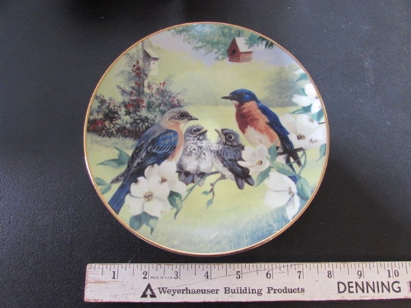 IT'S ALL ABOUT THE BIRDS - DECOR & MORE