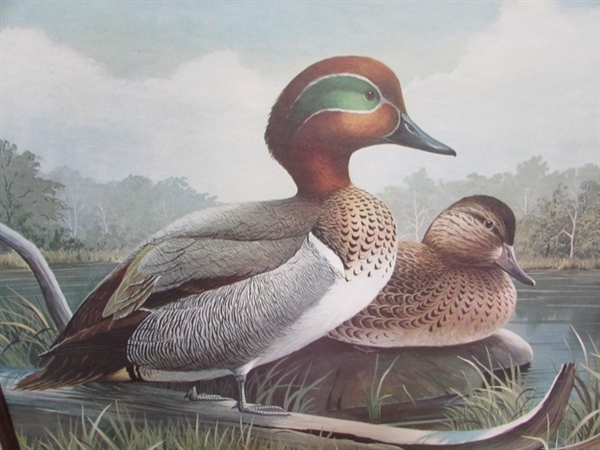 CARVED WOODEN DUCK & TRIO OF WOOD FRAMED PRINTS
