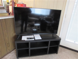 50" VIZIO FLAT SCREEN TV WITH STAND
