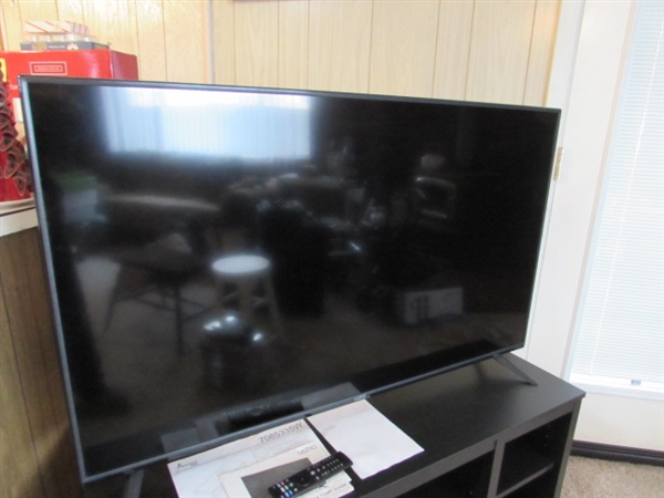 50 VIZIO FLAT SCREEN TV WITH STAND