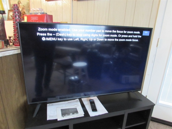 50 VIZIO FLAT SCREEN TV WITH STAND