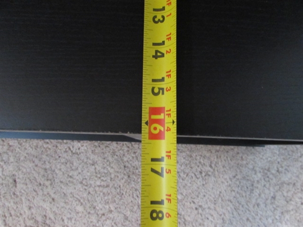 50 VIZIO FLAT SCREEN TV WITH STAND