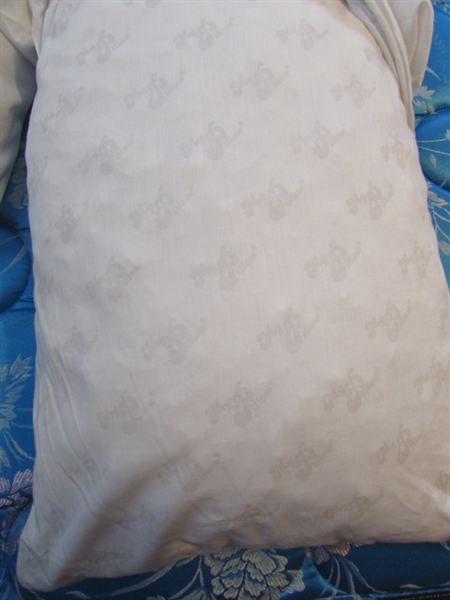 PILLOWS & 2 BLANKET IN A BAGS