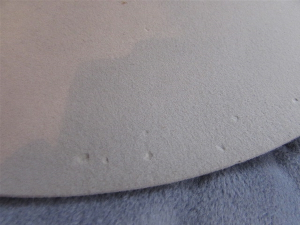 2 WOOL COWBOY HATS - STETSON HAS MOTH DAMAGE