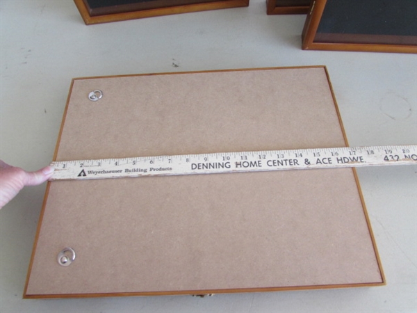 5 ENCLOSED SOUVENIR SPOON DISPLAY CASES - WALL MOUNT