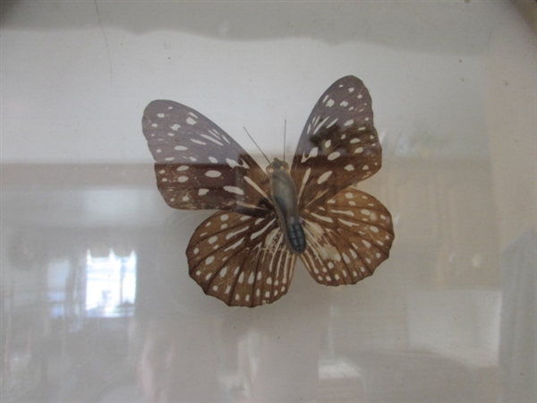 PRESSED FLORAL, LEADED GLASS HANGING WINDOW PANEL