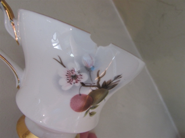CHINA TEA CUP DISPLAY AND TEA CUPS