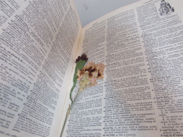 VINTAGE WEBSTER'S DICTIONARY 1966